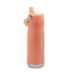 Botella insulada mango 650 ml Princesa - Imagen 14