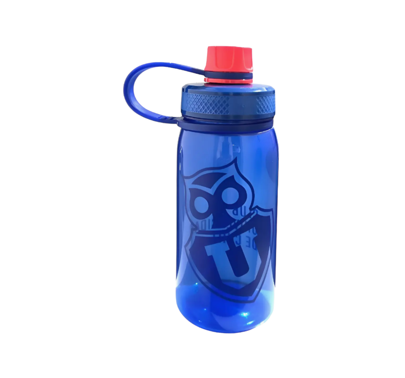 BOTELLA 700ML U DE CHILE